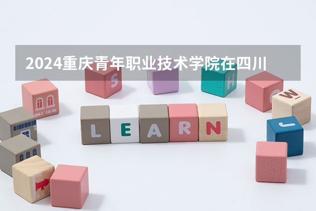 2024重庆青年职业技术学院在四川招生计划一览表