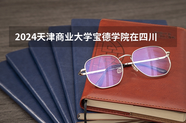 2024天津商业大学宝德学院在四川招生计划一览表