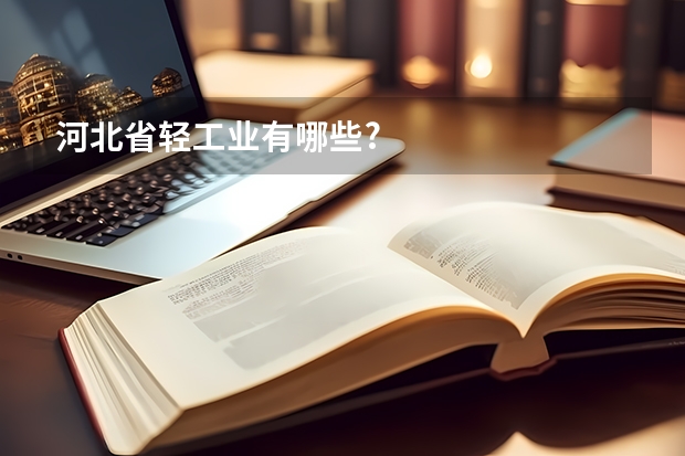 河北省轻工业有哪些?